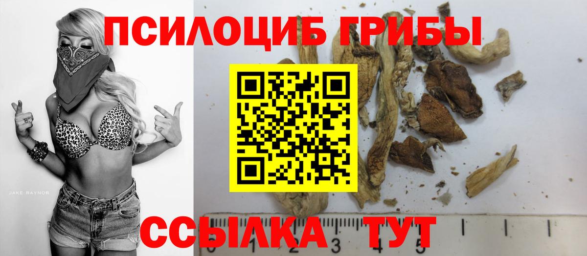 Галлюциногенные грибы Psilocybine cubensis  Вход с VPN  Псилоцибиновые грибы Magic Shrooms  Семёнов 